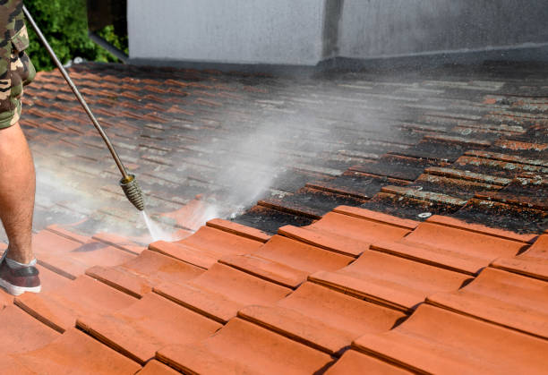 Best Residential Pressure Washing Services  in Hanceville, AL