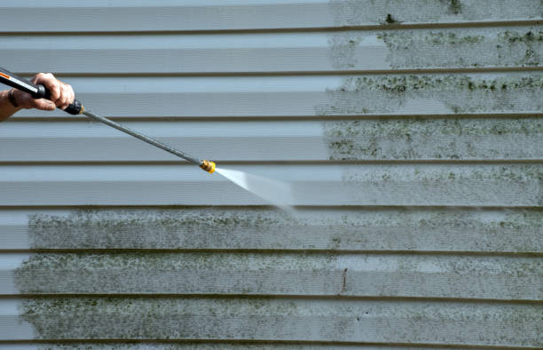 Best Affordable Pressure Washing  in Hanceville, AL