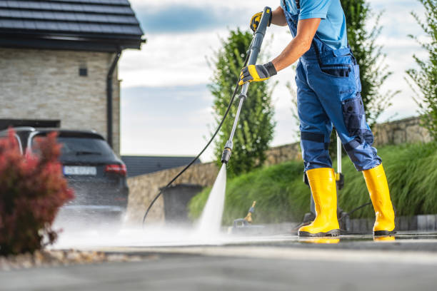 Best Roof Pressure Washing  in Hanceville, AL